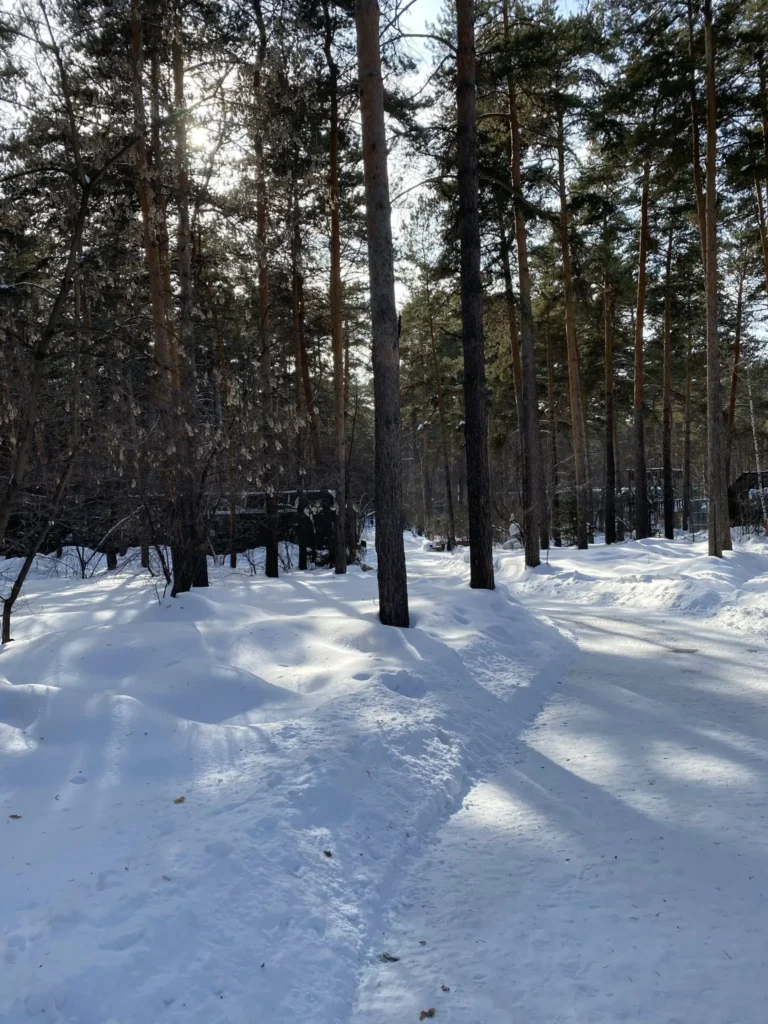 zoo de novossibirsk en hiver